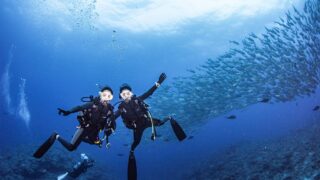 Ambil dan Hantar Disediakan. Untuk Menyelam Keseronokan di Naha Okinawa Jepun, Datanglah ke GOLD!