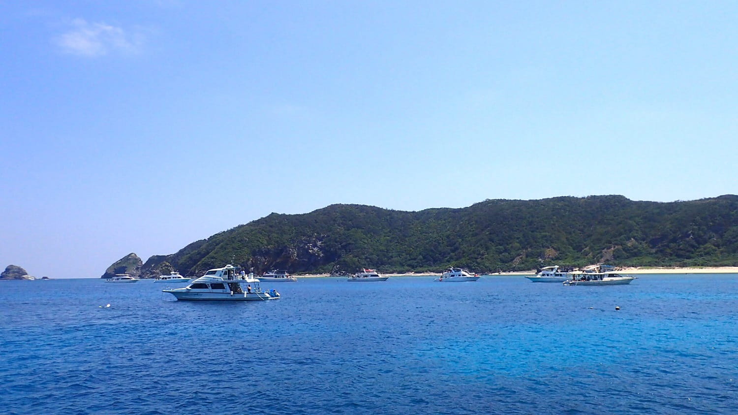 沖縄本島 慶良間周辺のダイビングで年間の水温とウェットスーツ