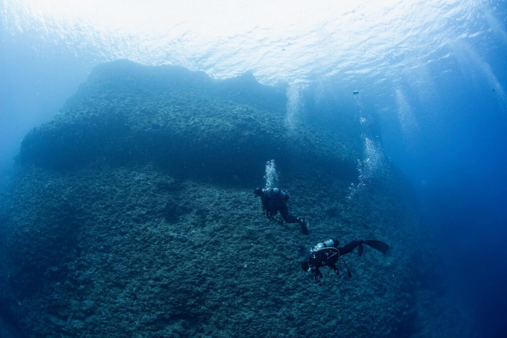 Bushman ファンボード Bushman ファンボード