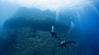 人気のポイント！那覇発万座のボートファンダイビングならゴールドへ