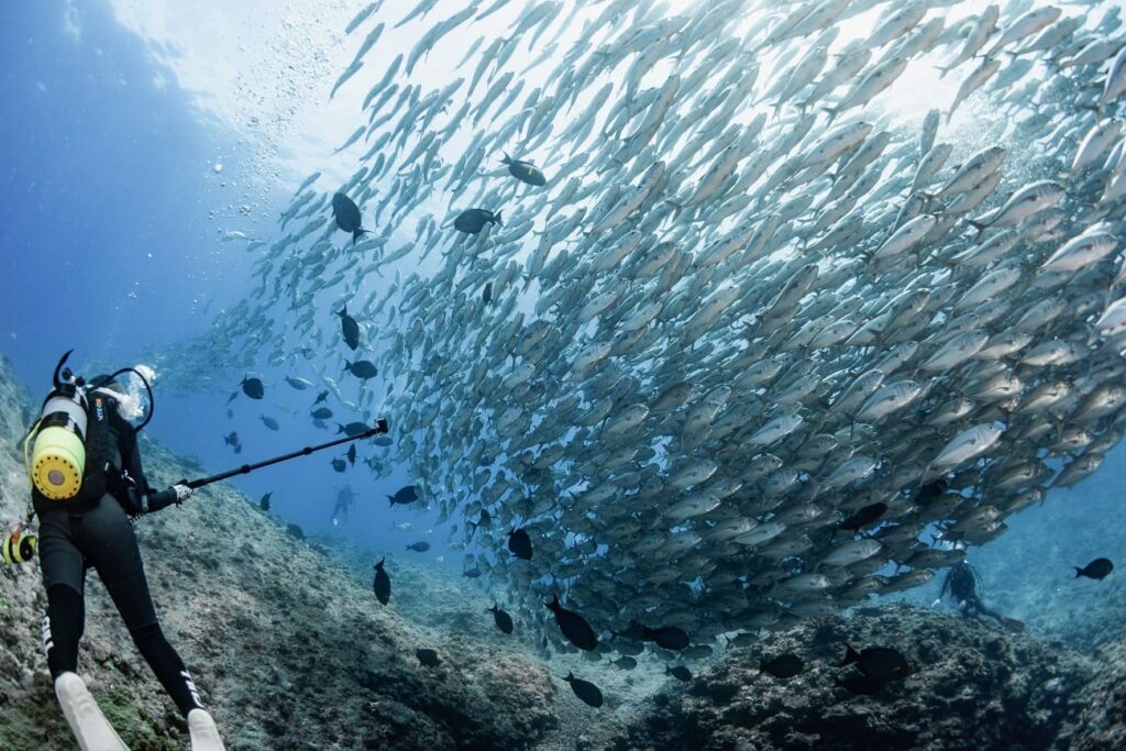 how to dive aguni island