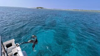 沖縄本島・慶良間での都市型ダイビングショップツアーはゴールドへ