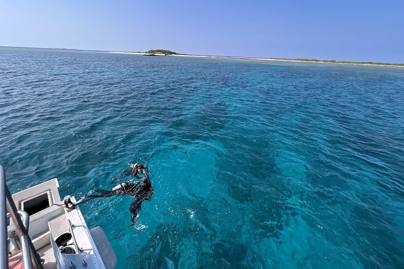 沖縄本島・慶良間での都市型ダイビングショップツアーはゴールドへ