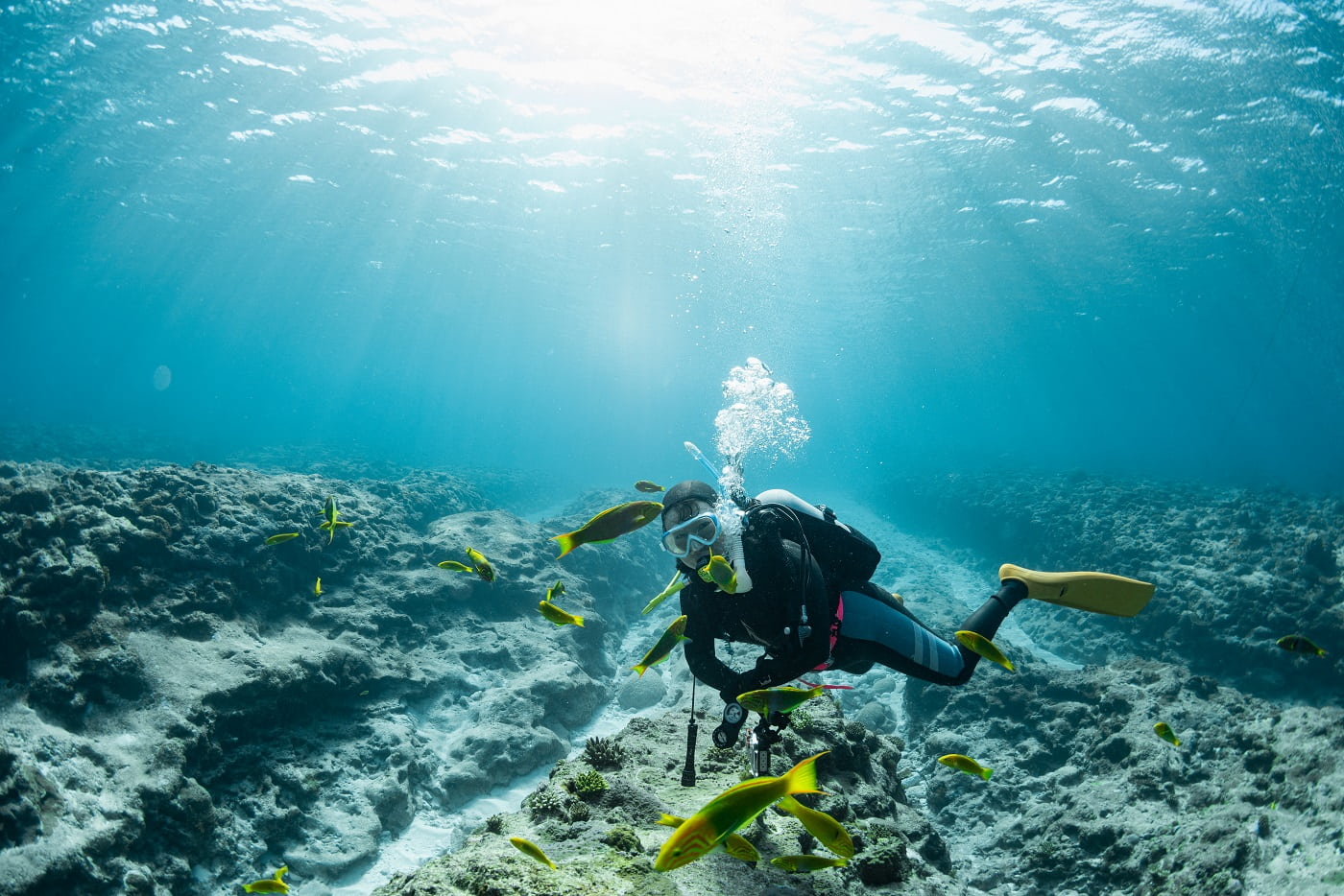 ダイビング中の写真