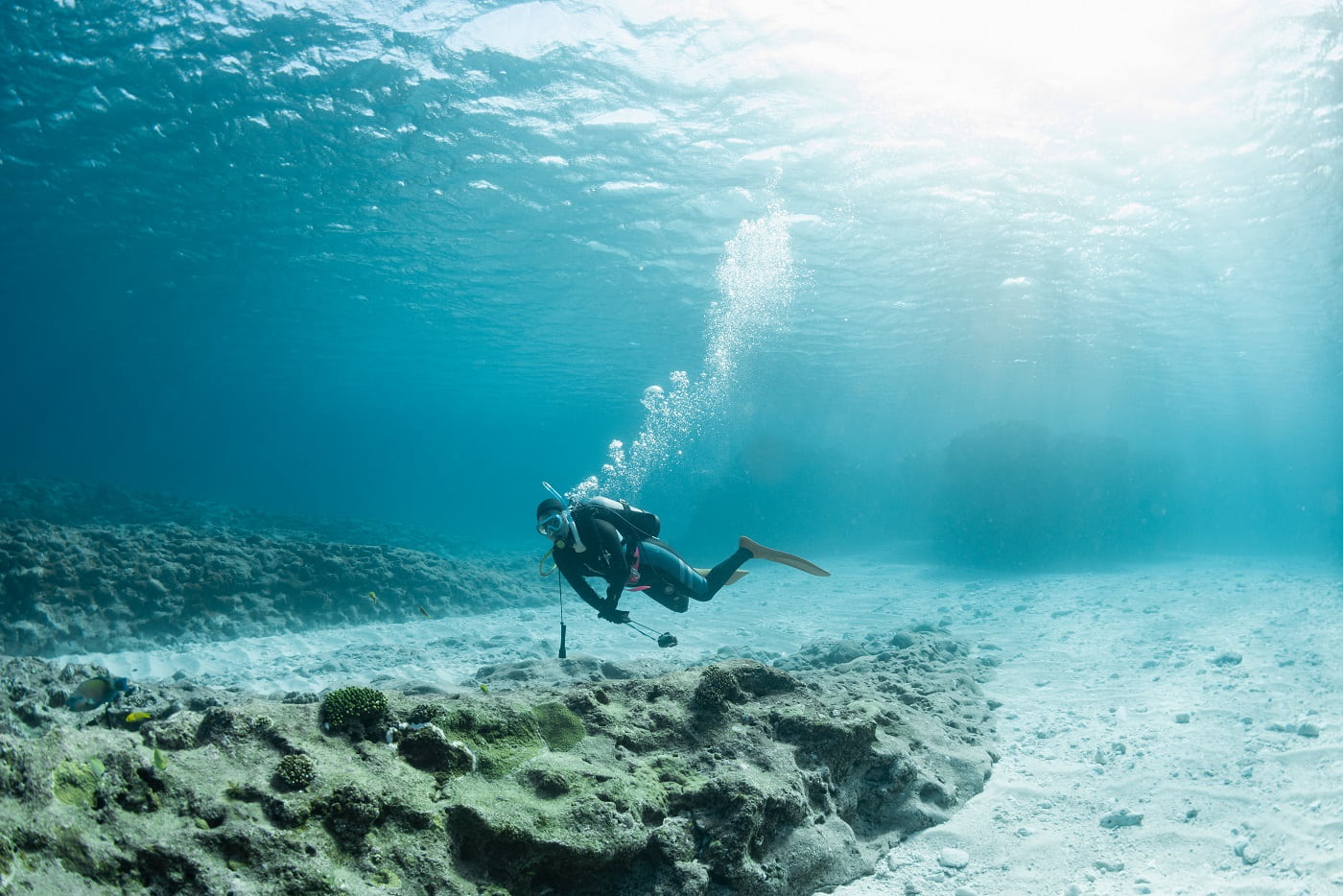水中風景とダイバー