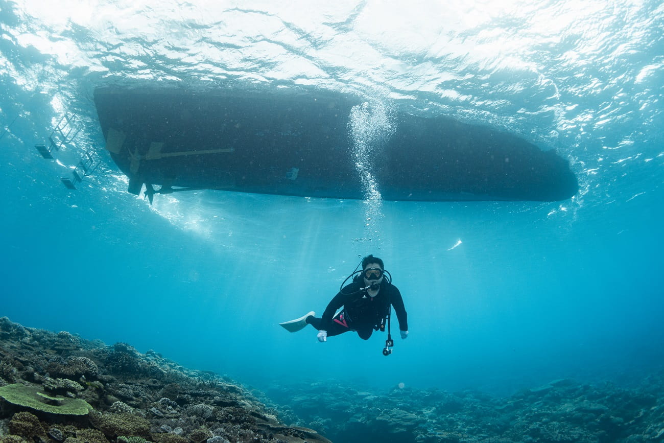 ダイビング中の写真