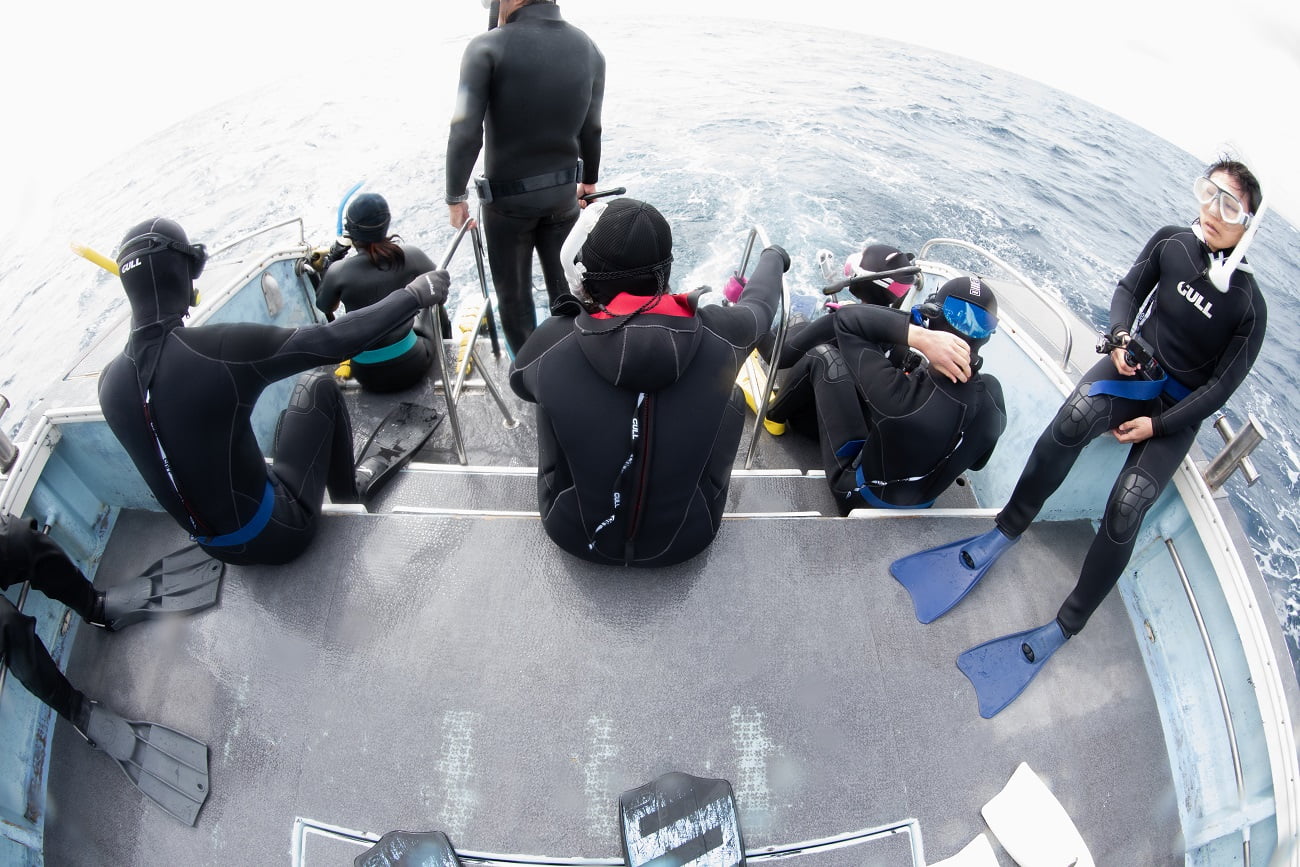 ホエールスイム中の船上で撮った写真