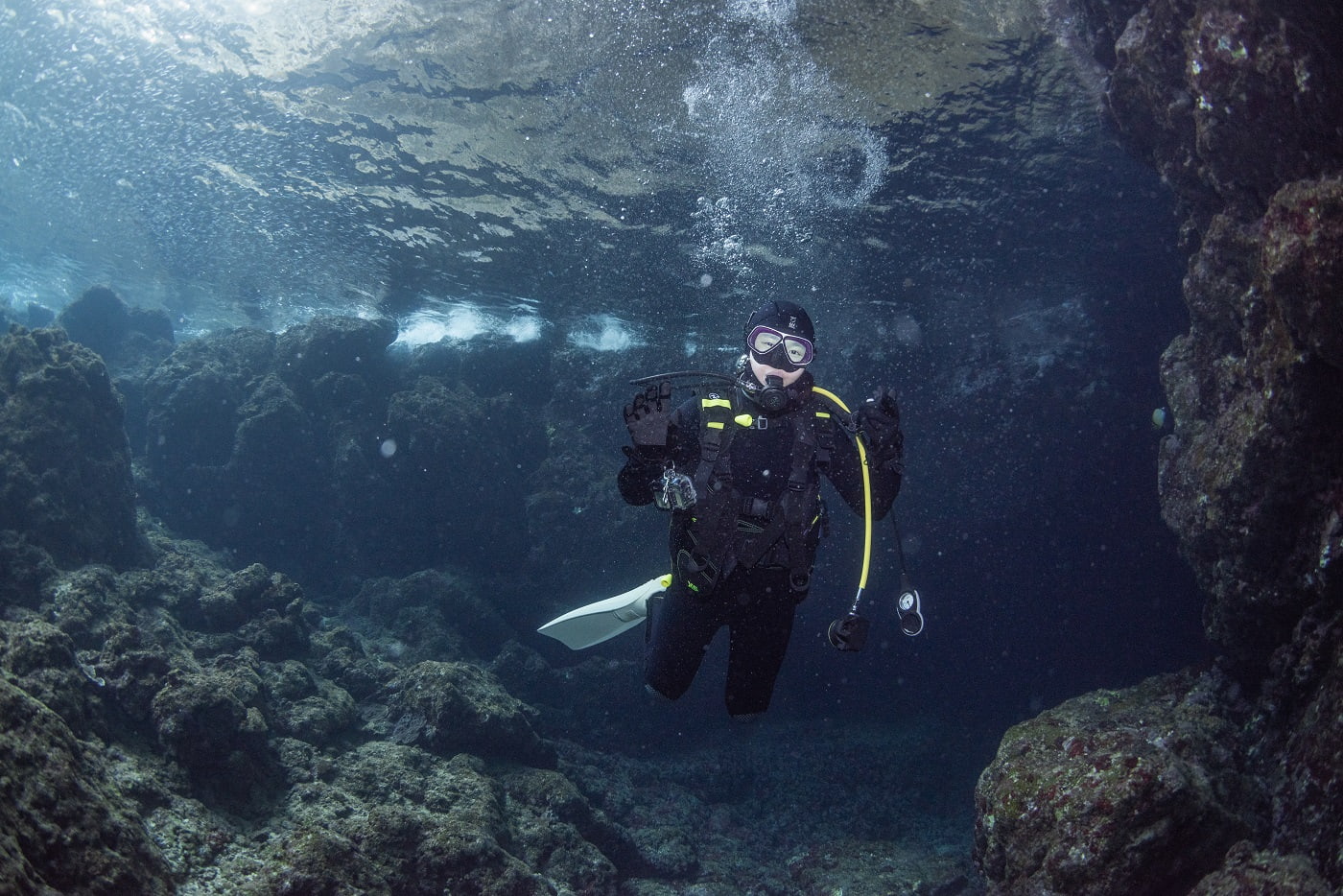 ダイビング中のお客様