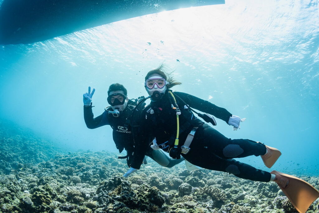 Guests during the dive