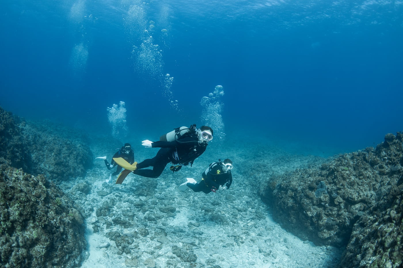 Guests during the dive
