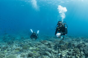 Small Group Diving in Okinawa: Why It Matters