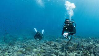 Small Group Diving in Okinawa: Why It Matters
