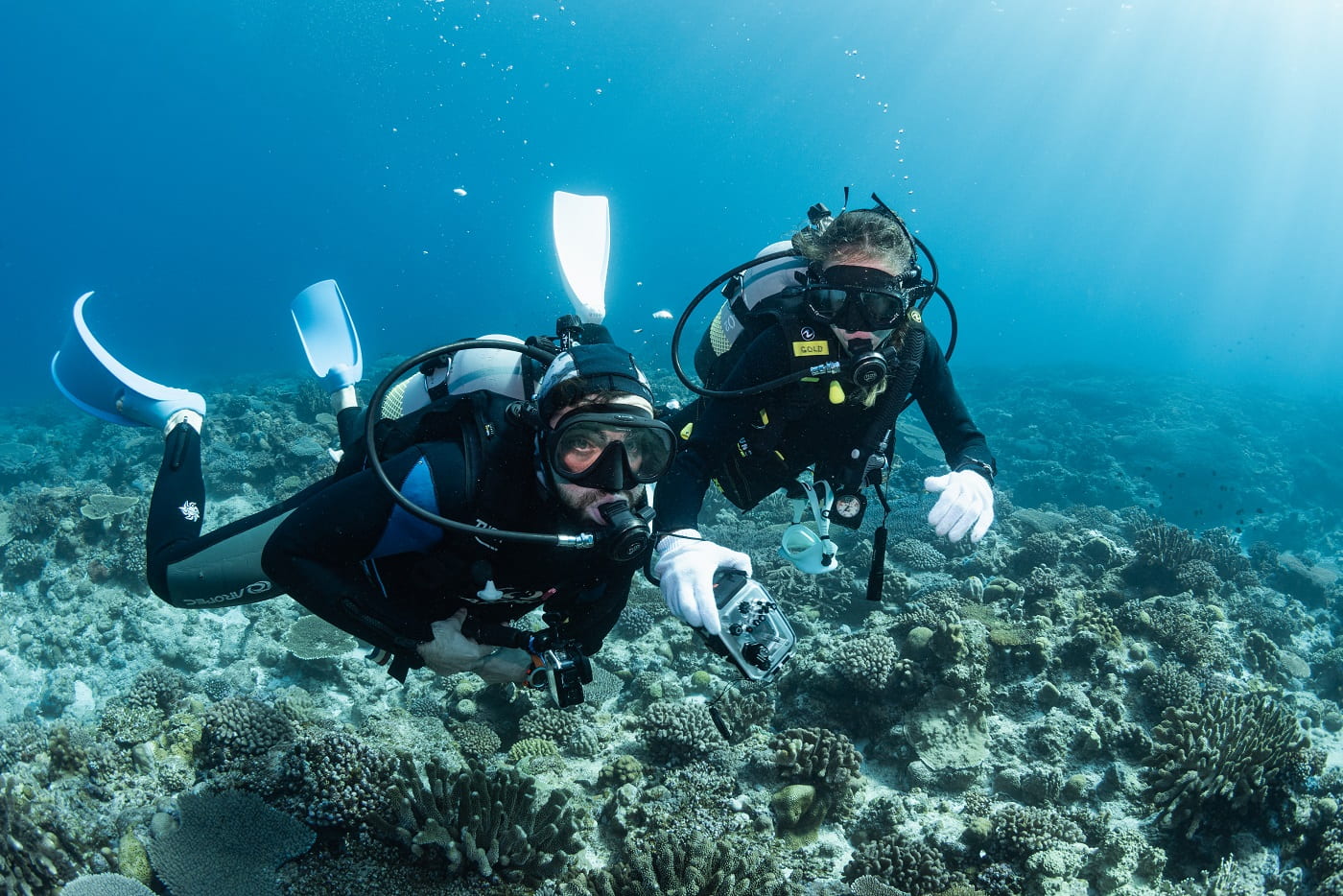 guests during diving
