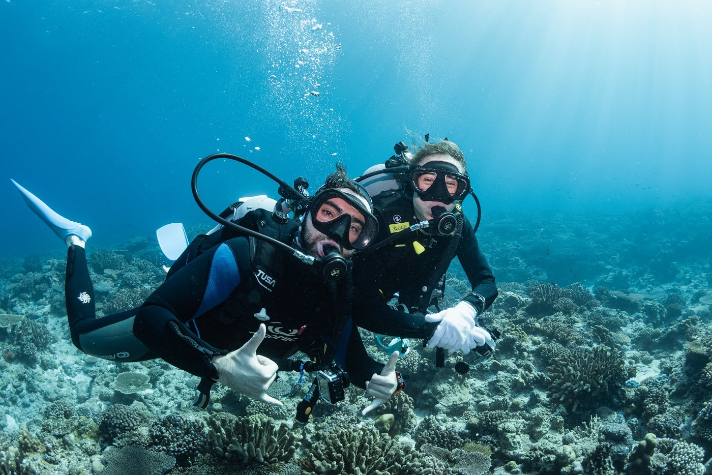 guests during diving