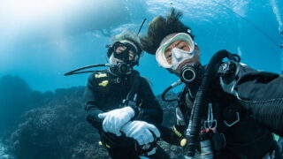 Diving in the Beautiful Kerama Islands With Guests From France and Singapore