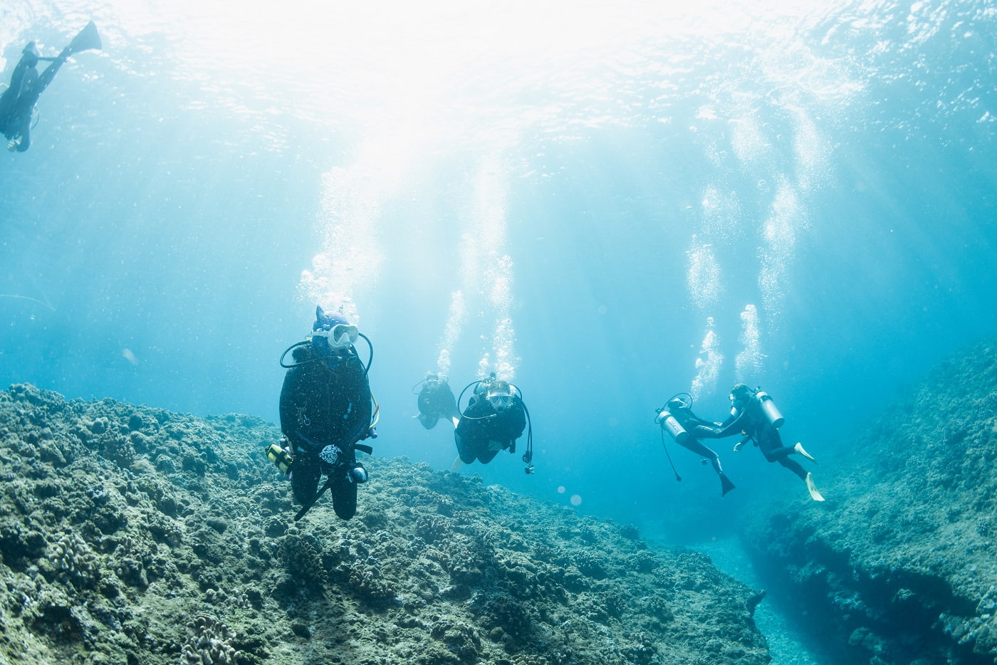 Guest diving in the crystal-clear Kerama blue.