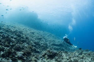 Drift Diving in Okinawa: Dynamic Yet Honest