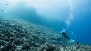 Drift Diving in Okinawa: Dynamic Yet Honest