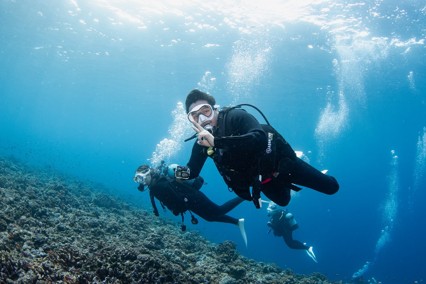 Guests during the dive