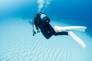 Best Time to Dive in Okinawa – Seasons, Visibility and Marine Life