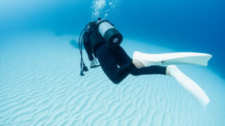 Best Time to Dive in Okinawa – Seasons, Visibility and Marine Life