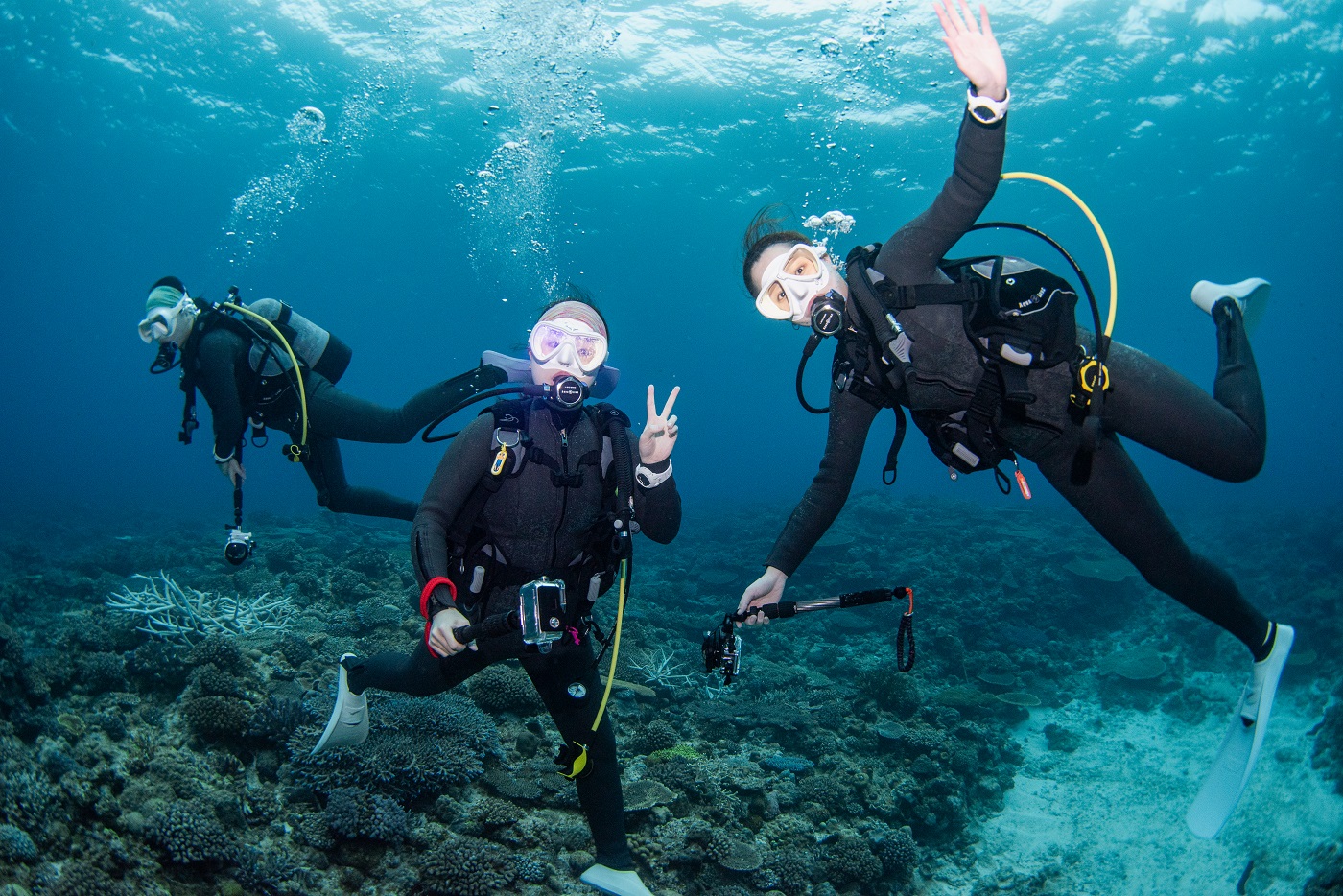 Guest during the dive