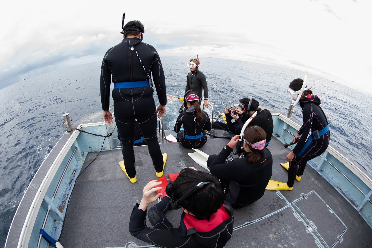 ホエールスイム エントリー前の様子
