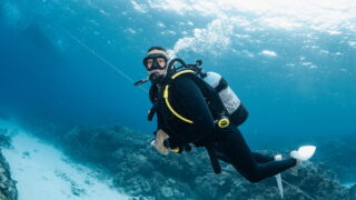 コロンビアからのゲストと慶良間でボートダイビング！