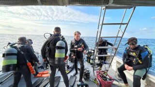 How Much Does Diving Cost in Okinawa? A Complete Price Guide for Divers