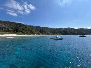 Is Okinawa Good for Diving? What Divers Should Know