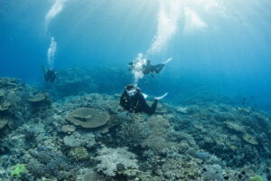 Kerama Diving Packing List – What to Bring for Your Dive Trip