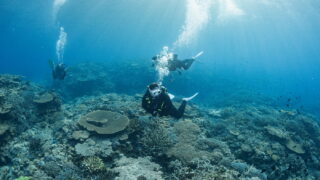 Kerama Diving Packing List – What to Bring for Your Dive Trip