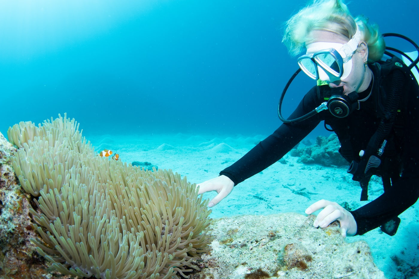 Guest during the dive
