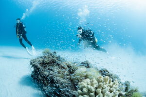 Okinawa Diving for Beginners – Tips and Preparation