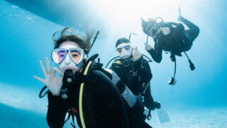 Diving in Kerama with guests from Thailand – visibility over 30 meters!