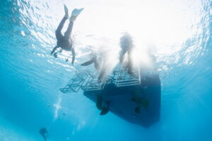 Small Group Diving in Kerama Islands: Why It Matters