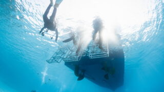 Small Group Diving in Kerama Islands: Why It Matters