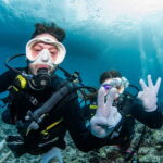 Relaxed diving in the Kerama Islands with guests from Germany - Whitetip reef shark