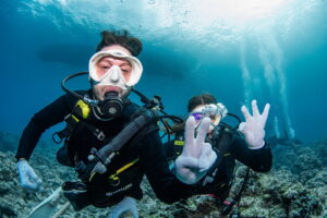 Relaxed diving in the Kerama Islands with guests from Germany - Whitetip reef shark