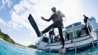 Where Should You Dive in Okinawa? (Only One Best Answer)