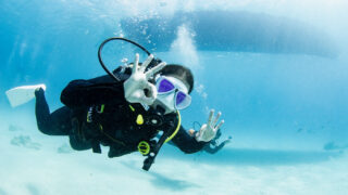 Diving in the Kerama Islands with guests from France, Denmark, and Israel!