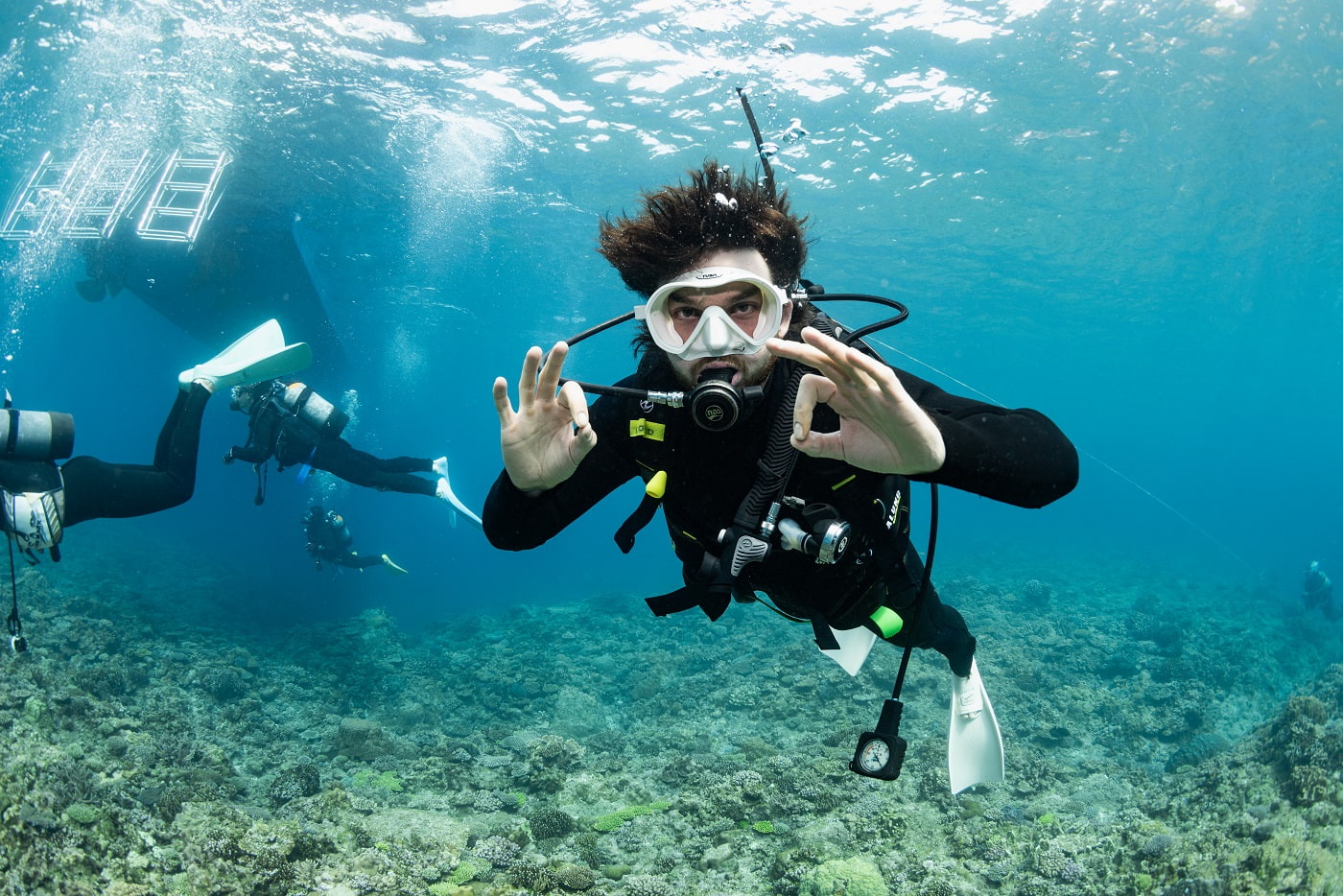 guests during the dive in the kerama islands