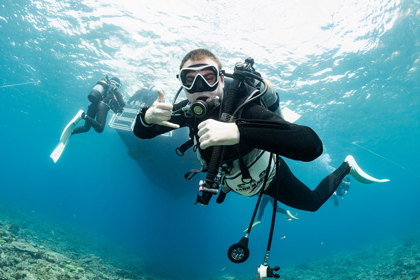 guests during the dive in the kerama islands