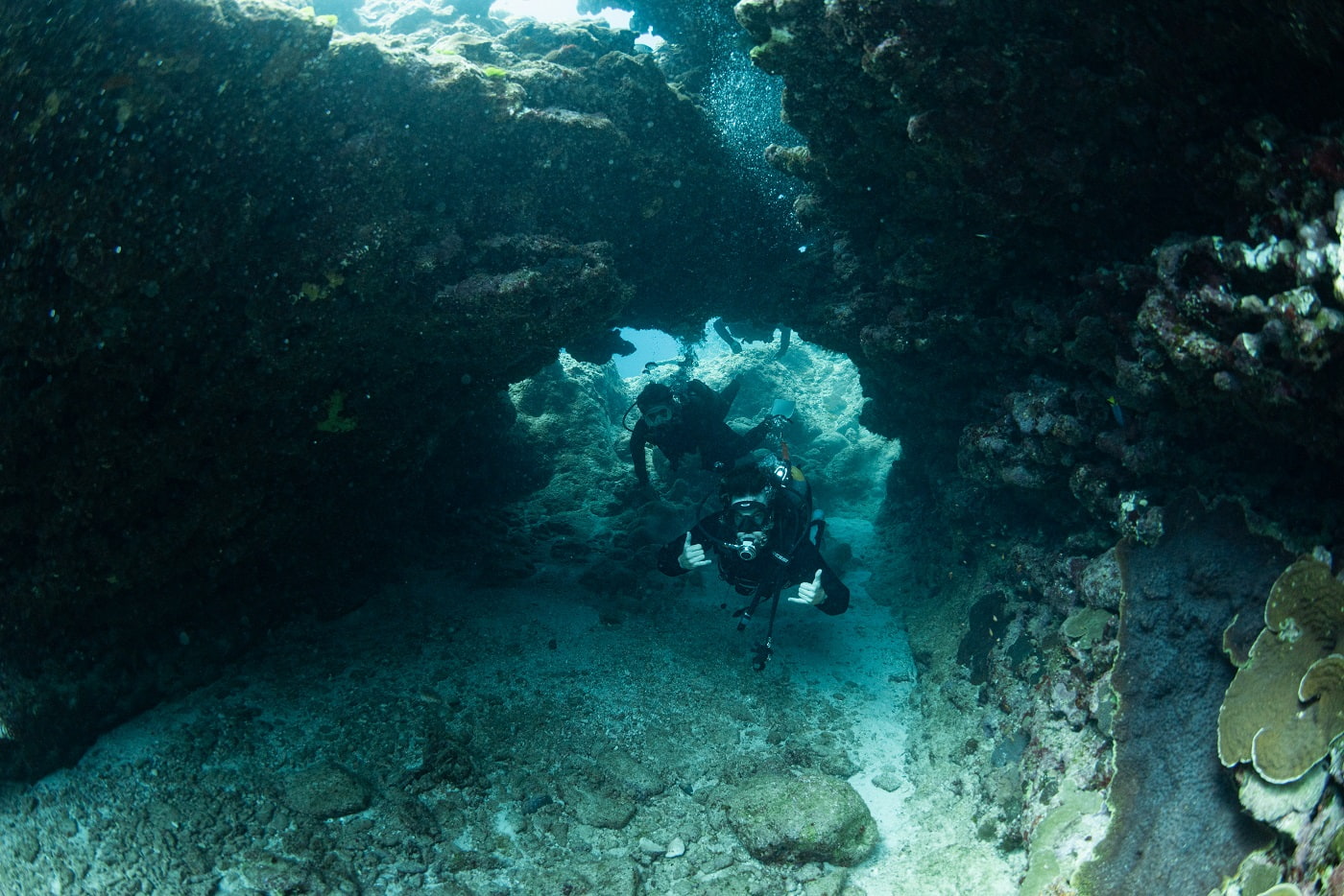 guests during the dive in the kerama islands