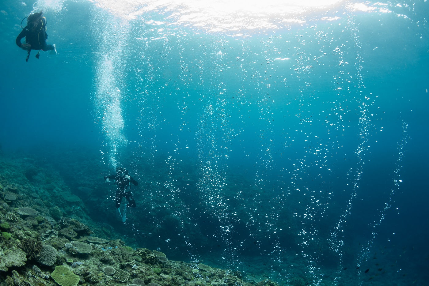 underwater scenery in the kerama islands