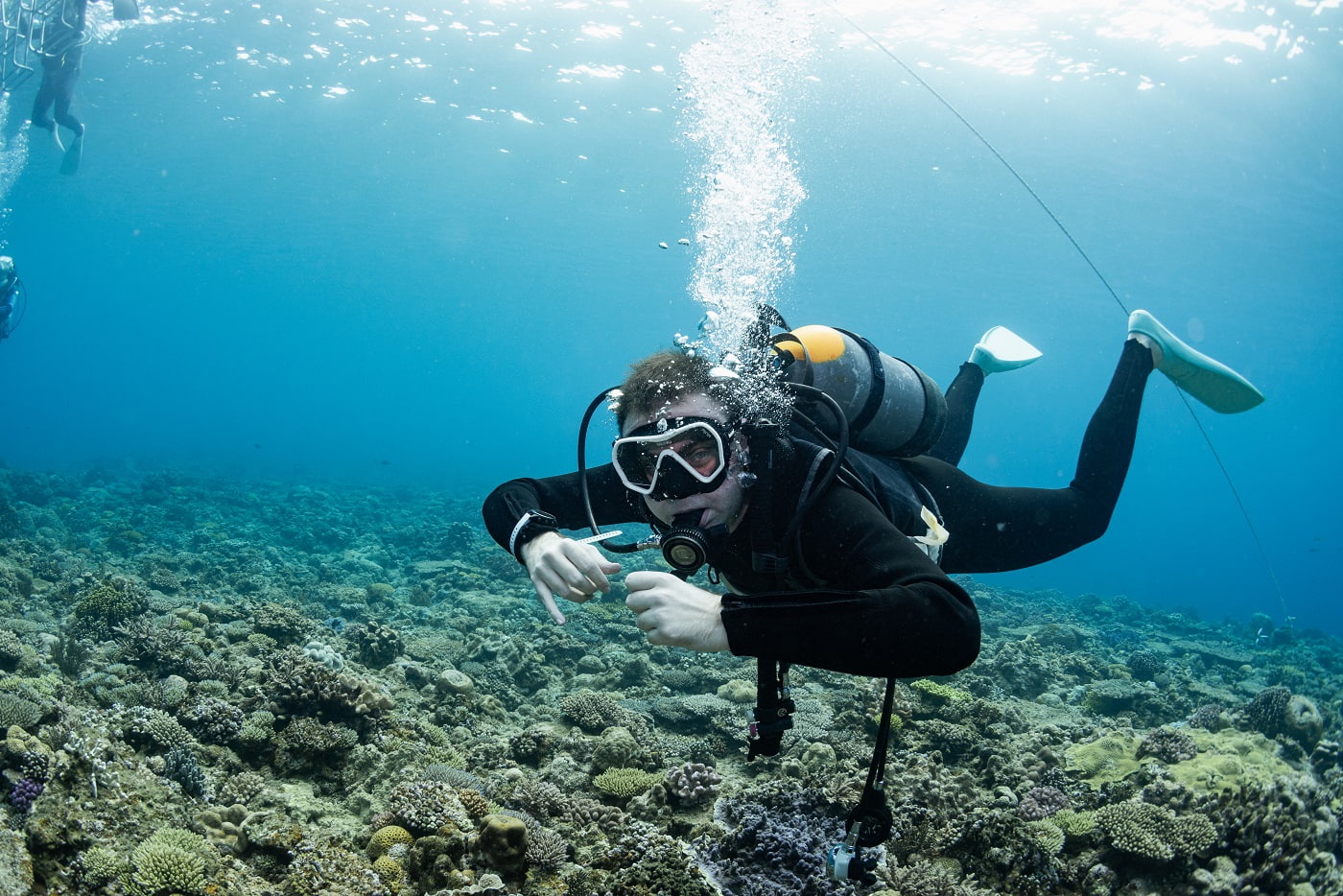 guests during the dive in the kerama islands