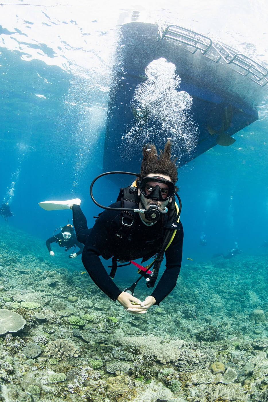 guests during the dive in the kerama islands