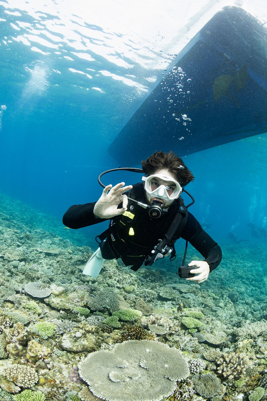 guests during the dive in the kerama islands