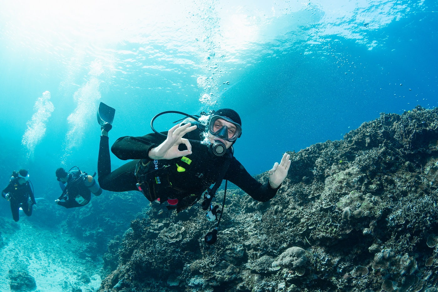 guests during the dive