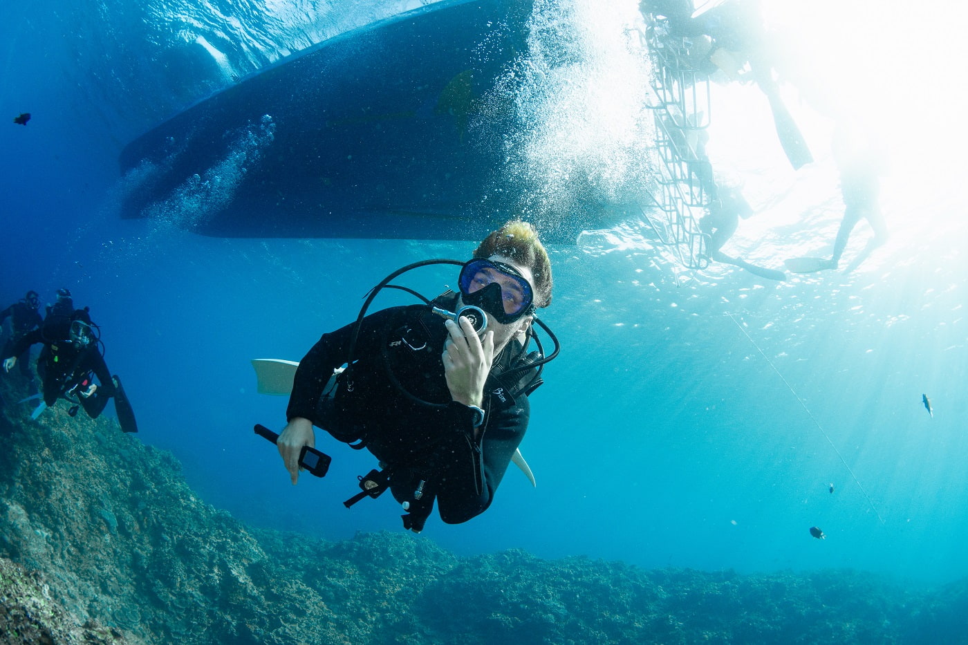 guests during the dive